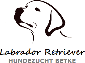 Logo Hundezucht Betke transparent klein