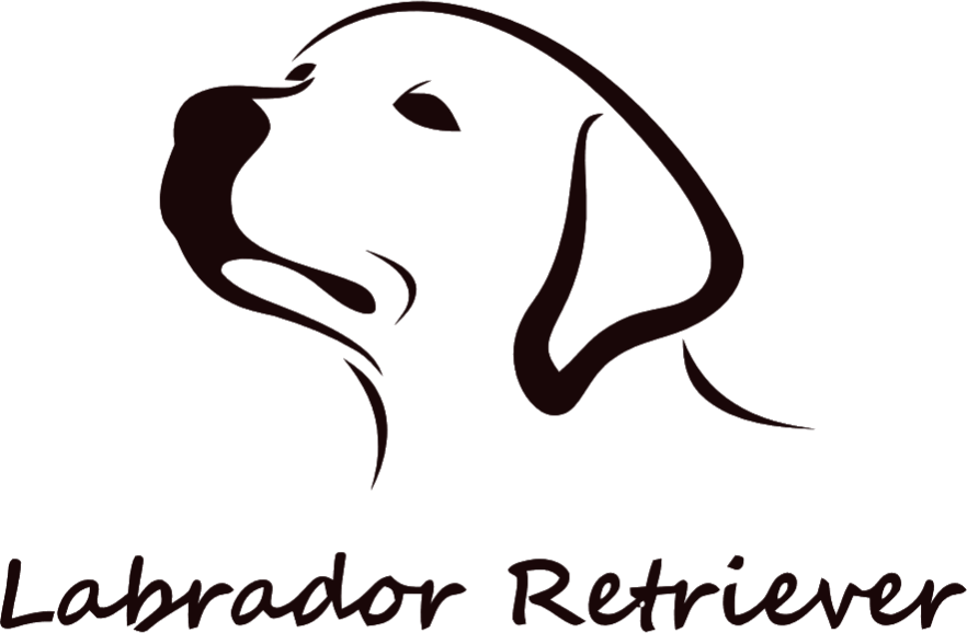 Logo-Hundezucht-Betke-transparent