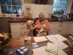 Hundezucht Betke DRC Wurfabnahme