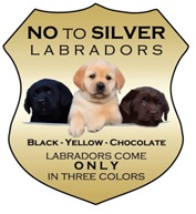 No To Silver